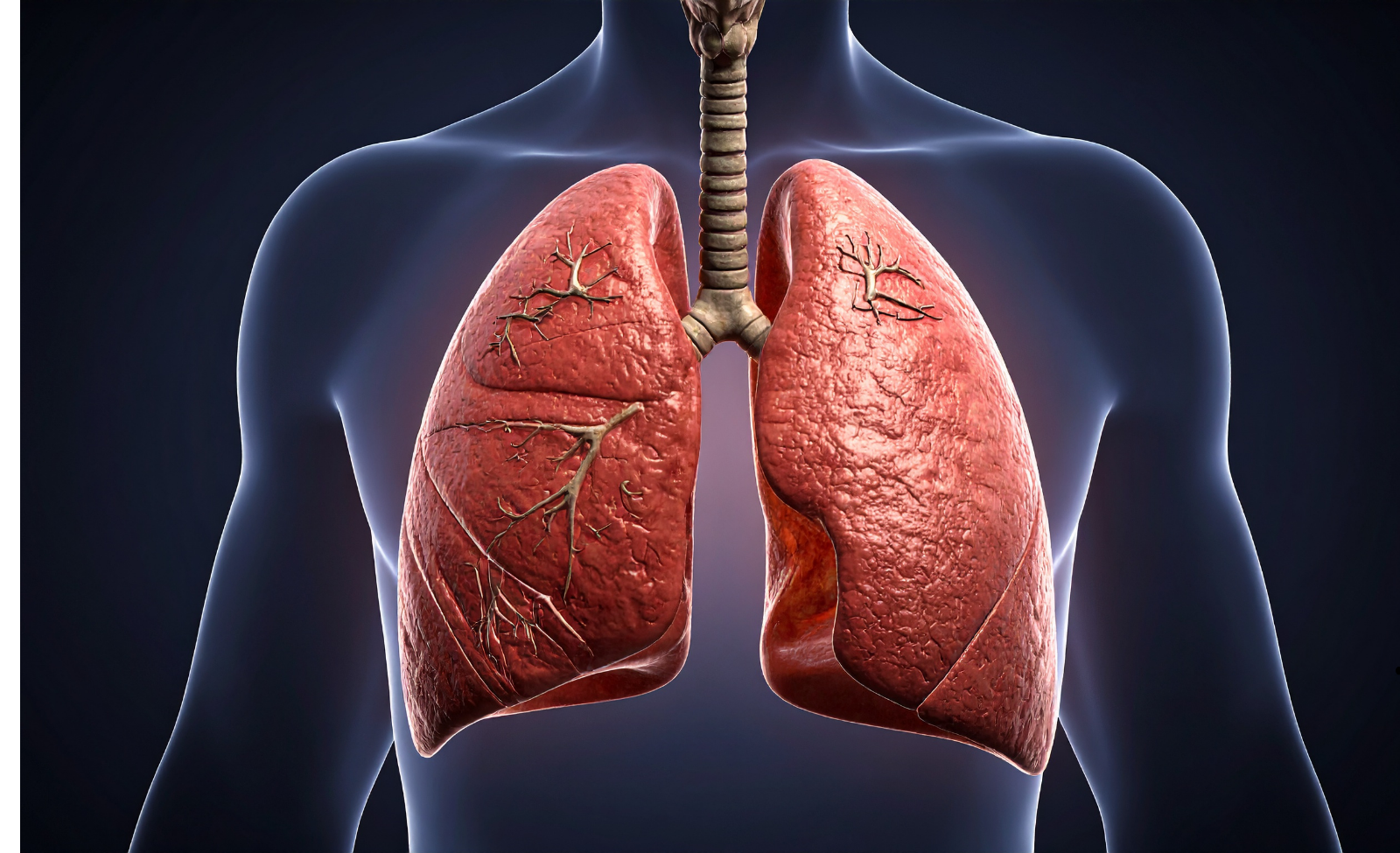 Asthma and COPD (NDIS)